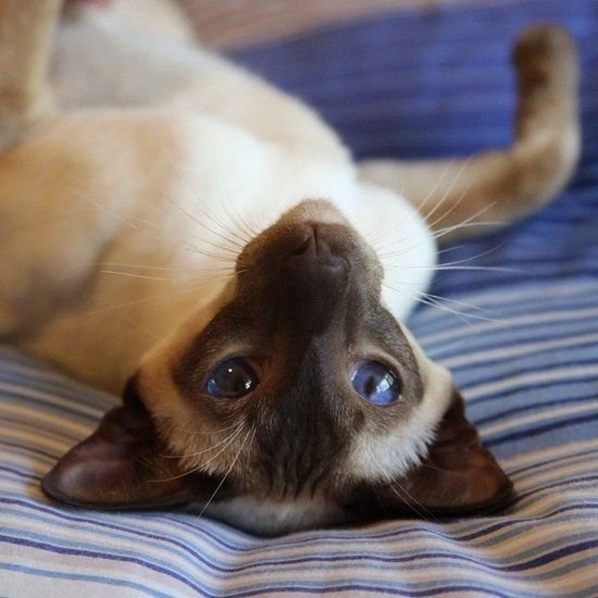 Sex Yoga Việt Nam Khám Phá Thế Giới Giải Trí Đích Thực Với Những Nội Dung Độc Đáo