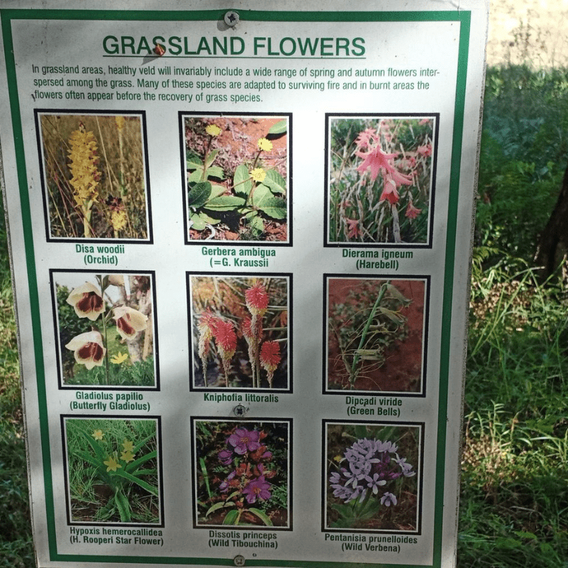 Sunwin Tải App Game Bài Macau Trải Nghiệm Đỉnh Cao