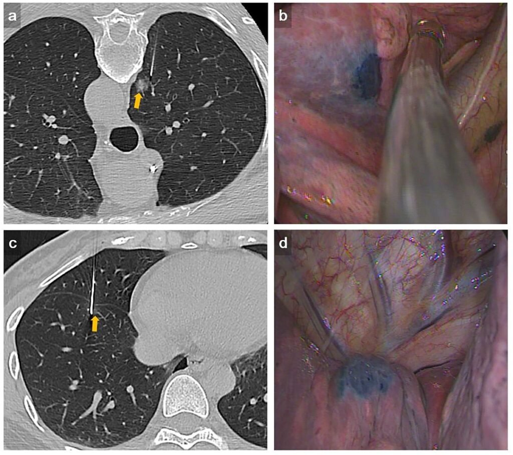 Thuê Nhà Chợ Tốt Khám Phá Thế Giới Cá Cược Trực Tuyến Đỉnh Cao Sự Lựa Chọn Hoàn Hảo Cho Người Chơi Việt