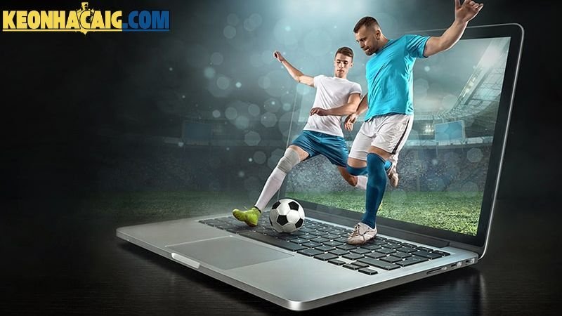 Đất Hoà Tiến Hôm Nay Bí Quyết Soi Kèo & Tối Ưu Chiến Thắng